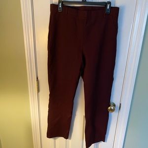 Quince ponte straight leg burgundy pants
